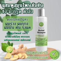 แชมพูสมุนไพร  ขิง มะกรูด ตำลึง บำรุงผมบาง ผมยาว Anti Hair Fall (ผมร่วง คัน รังแค) แชมพูบำรุง ผมหนา ร่วง คัน รังแค แชมพูบำรุงผมยาว  WISH HERB