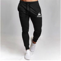 Spring Thin Sports Pants Mens Jogger Fitness Casual Trousers Brand Printed Muscle Mens Fitness Training Pants