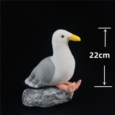 นกนางนวลอะนิเมะเรื่องคุณภาพสูงน่ารักทะเล Plushie Mew นกของเล่นตุ๊กตาสัตว์เหมือนจริงจำลองตุ๊กตายัดไส้ Kawai ของขวัญของเล่นเด็ก