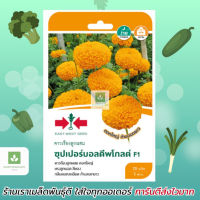 สีทอง เมล็ดพันธุ์ดาวเรือง ซุปเปอร์บอลดีพโกลด์ F1 Deep gold เมล็ดพันธุ์ ตราศรแดง