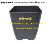 (20ใบ) papamami กระถางพลาสติก กระถางดำ สี่เหลี่ยม 4นิ้ว กระถางปลูกต้นไม้ กระถางต้นไม้ ที่ปลูกต้นไม้ กระถางแค็คตัส กระถางปลูกตอ สีดำ  กระถางเล