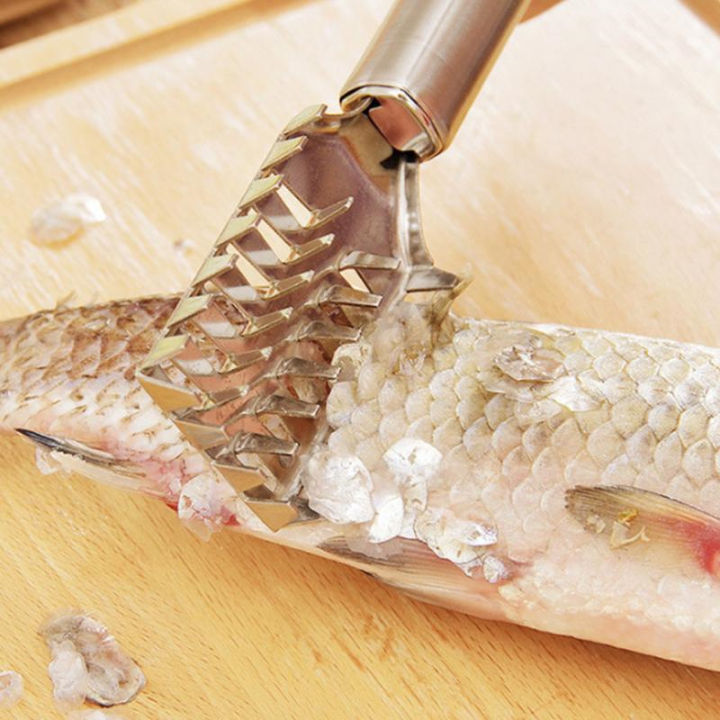 เครื่องปอกเกล็ดปลาแบบสแตนเลสทำความสะอาดผักผลไม้อย่างรวดเร็วเครื่องขูดผิวปลาเครื่องมือขูด