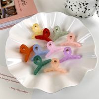 Elegant Candy Color Acrylic Hair Clip Small Size Hairclips Crab Hair Pins for Women Girl Hair Accessories Hair Style Make