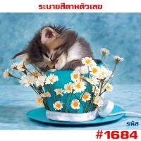 แนะนำ? 1684 รูปวาด ขึงเฟรมไม้ HOME DIY สินค้าอยู่ไทยพร้อมส่ง ภาพวาดสีน้ำมัน ภาพระบายสีตามตัวเลข ขนาด40X50CM ขึงเฟรมไม้!!