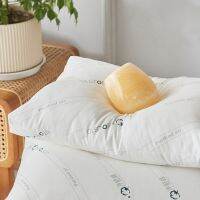 50x50cm formaldehyde removal pillow core big back bed head sleeping manufacturers supply Pillow