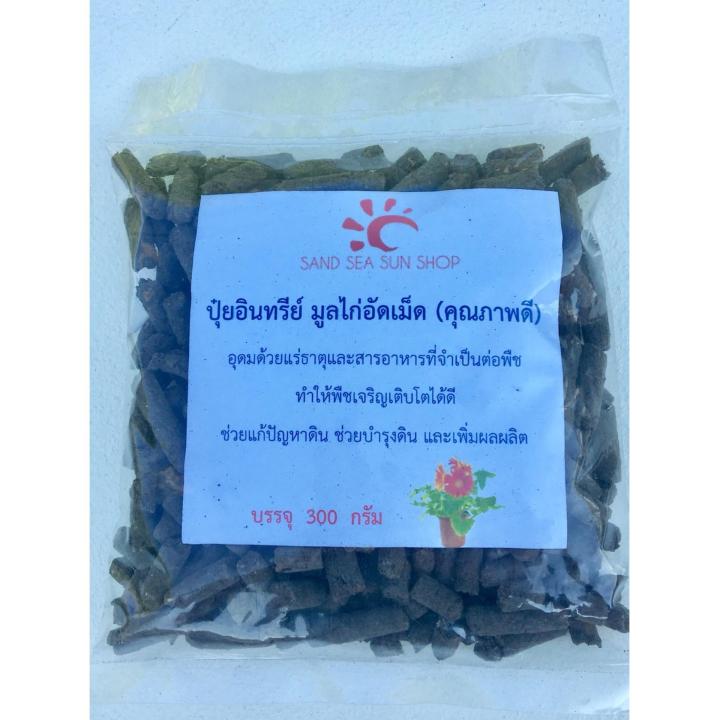 ชุดปลูกผักบุ้ง-ชุดปลูกผักสวนครัว-เมล็ดพันธุ์ผักบุ้ง-ทำให้การปลูกพืชผักสวนครัวของคุณง่ายขึ้น-เมล็ดพันธุ์ผักบุ้ง