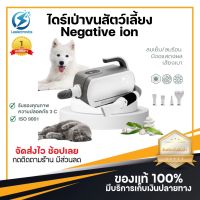 ประกันศูนย์ 1ปี ไดร์เป่าขนสุนัขและแมว 2800W เครื่องเป่าขน ไดร์เป่าขนสุนัข ไดร์เป่าขนหมา ไดร์เป่าขนแมว ไดร์เป่าขน ไดร์เป่าขนสัตว์ ส่งฟรี