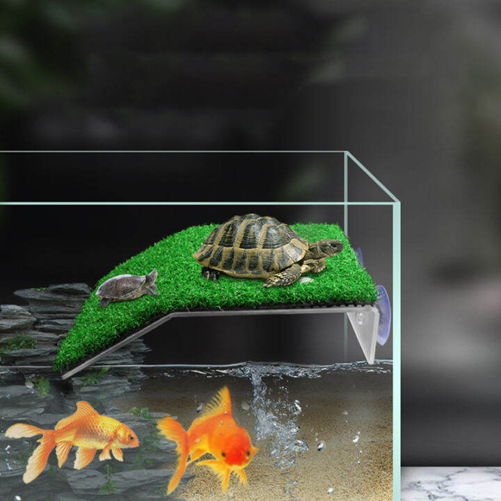 Turtle Basking Platform Suction Cup Tortoise Climbing Ladder Fish Tanks