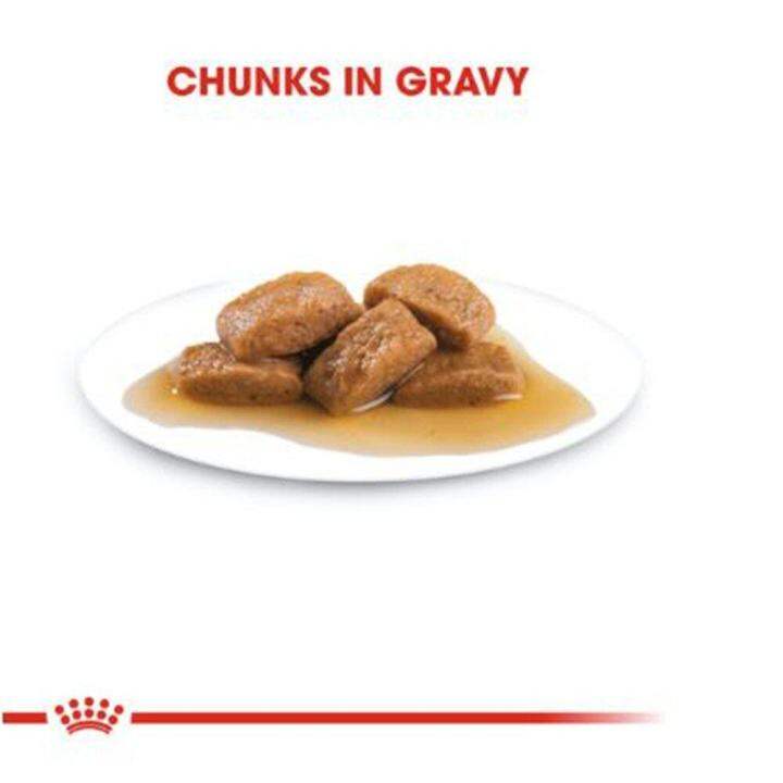 ยกโหล-12-ซอง-royal-canin-maxi-adult-dog-food-อาหารเปียกสุนัข-สุนัขวัยโต-พันธุ์ใหญ่-น้ำหนักโตเต็มวัย-26-44-กก-อายุ15เดือนถึง8ปี-140-กรัม