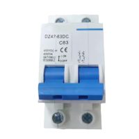 DZ47 63/2P Miniature Circuit Breaker Household Air 32a 16a C45 Short circuit Protection Switch Overload P2T0