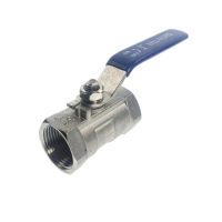 WZJG 1/4" - 1" BSP Female Reducer Ports 304 Stainless Steel one-piece Ball Valve Plumbing Valves