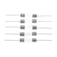 10pcs 5x20MM Axial Glass Fuse Fast Blow 250V With Lead Wire The Fuse Tube