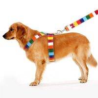 【LZ】 Rainbow Color Pet Dogs Collar Harness Set 120cm Puppy Leash Outdoor Walking Exercise Dogs Supplies PU Anti-Escape Cat Collars