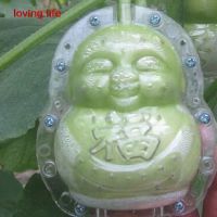 【LZ】 1 Pcs Veggie Pear Growth Shaped Watermelon Garden Fruit Mould Tool Cucumber Shaping Mold Cocomelo Growing Vegetable Moulds