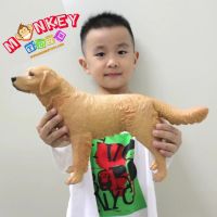 Monkey Toys - โมเดลสัตว์ Golden หมาโกลเด้น ขนาด 35.00 CM แบบนิ่ม (จากหาดใหญ่)