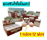 *พร้อมส่ง*ฟอสซิลไข่ไดโนเสาร์ Dig &amp; Discover dinosaur Eggs นักสำรวจ เสริมสร้างจินตนาการ ฝึกกล้ามเนื้อมัดเล็ก ของขวัญแจกเด็ก ปีใหม่ คริสมาสต์ Christmas