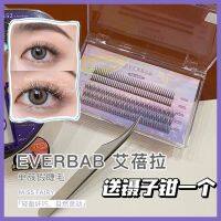 everbab/Aibela false eyelashes single cluster mixed pack A type fishtail type lower eyelashes makeup artificial hair