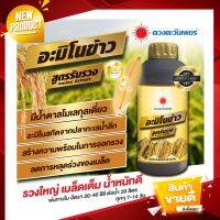 NEW ฮอร์โมนบำรุงข้าวช่วงรับรวง ขนาด 1 ลิตร อะมิโนข้าวสูตรรับรวง ข้าวรวงใหญ่ เมล็ดเต็มรวง อวบ ได้น้ำหนัก ลดการหลุดร่วง