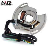 】【=-【 Motorcycle Stator Ignition Coils For Yamaha 5VM-85560-00 YFS200 Blaster 2003-2007 YFS200 Blaster Special Edition 2006