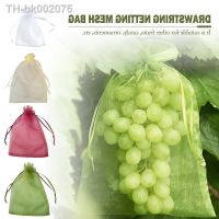 ✖ 20/50/100PCS Grapes Fruit Protection Bags Garden Mesh Bags Agricultural Orchard Pest Control Anti-Bird Netting Vegetable Bags