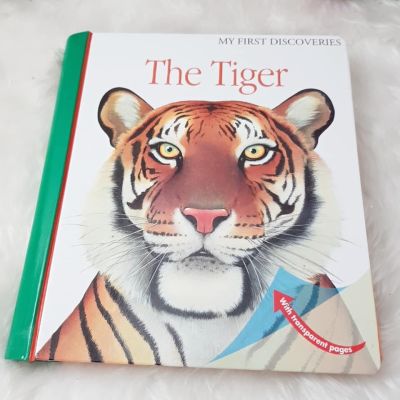 The Tiger by My First Discoveries ชุดหนังสือความรู้ คุณหมอประเสริฐ ซื้อให้ลูกอ่าน พร้อมส่ง ของแท้ ชุดเดียวกันกับ The Egg
