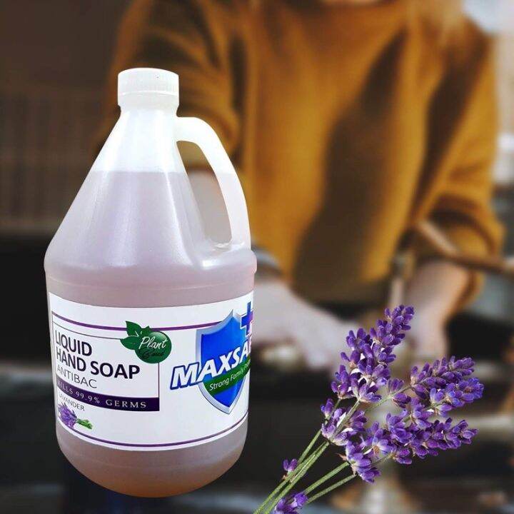 1G MaxSafe Plantbased Liquid Handsoap LAVENDER with Moisturizer PH