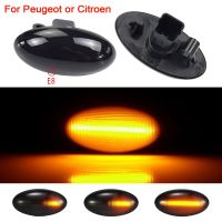 【CW】For Peugeot 307 206 407 107 607 Citroen C1 C2 C3 C5 LED Dynamic Turn Signal Light Flowing Water Side Marker Indicator Light