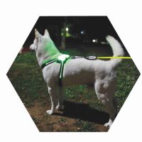 CC Simon Dogled usb rechargable led collar led dog harness Puppy Lead Pets Vest