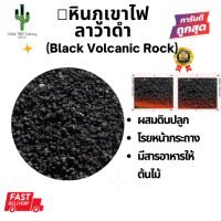 Little TREE Factory หินภูเขาไฟสีดำ หินลาวาดำ หินทรายสีดำ BLACK VOLCANIC STONE