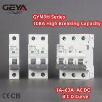 GEYA 10KA 32A MCB 2P 6A 10A 16A 63A 40A 50A Circuit Breaker 220V C Curve ประเทศจีนผู้ผลิต