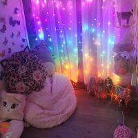 Fairy Curtain Light with Remote Control Wall Decor for Bedroom Twinkle Hanging Lights for Party Wedding Christmas Rainbow Color