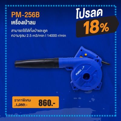 ปืนเป่าลมเย็น PUMA PM-256B 600W. (สินค้ารับประกัน 1 ปี)