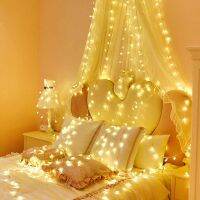 สุภาพสตรีหลอดไฟรูปดาวPlug-Inรุ่นเช่าบ้านสุทธิสีแดงสายไฟประดับWesternโรแมนติกรูปแบบสาวNice StringไฟบุคลิกภาพLed