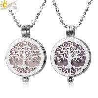 CSJA Healing Stone Pendant Necklaces of Locket Perfume Aromatherapy Diffuser Necklace G303