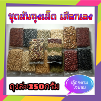 ถั่ว รวมถั่วดิบ เลือกเอง  ถุงล่ะ 250 กรัม เราจะหามาเพิ่มถั่วทุกชนิดบนโลกเท่าที่จะหาได้  ตอนนี้มีแค่นี้ก่อน mix raw beans 250 gram