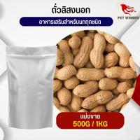 ถั่วลิสงนอก PeaNut อาหารนก กระต่าย หนู กระต่าย กระรอก ชูก้า และสัตว์ฟันแทะ อาหารสัตว์เลี้ยง (แบ่งขาย 500G / 1KG)