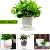 กระถาง​แบบใส กระถางต้นไม้2ชั้น ​เก็บ​น้ำ​ได้​ รด​น้ำ​อัตโนมัติ​ Automatic watering flower pots