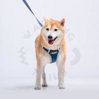 DOG สายรัดอกสุนัข Tuff Hound Comfort Fit (Kyoto Sky) ปลอกคอ ฮาเนสรัดอก สายจูงสุนัข สายคาดอก สายรัดอกสุนัข Wagging Tails Store