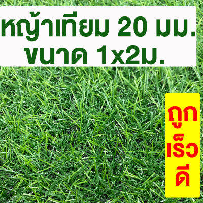 หญ้าเทียม เกรดA สูง 20มม. ขนาด 1x2ม.กันUV หญ้าเทียมราคาถูก หญ้าปลอม หญ้าเทียมถูกๆ คุณภาพดี สีไม่ซีด มีรูระบายน้ำ แต่งสวน จัดส่งไว