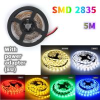 5M Led Strip Lights 300LED 12V SMD 2835 Flexible RGB Light Strip Single Colors High Quality Night light Room Decoration LED Strip Lighting