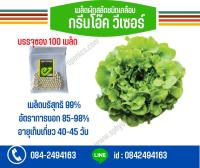 เมล็ดผักสลัด ชนิดเคลือบ (Enza) บรรจุซอง 100 เมล็ด