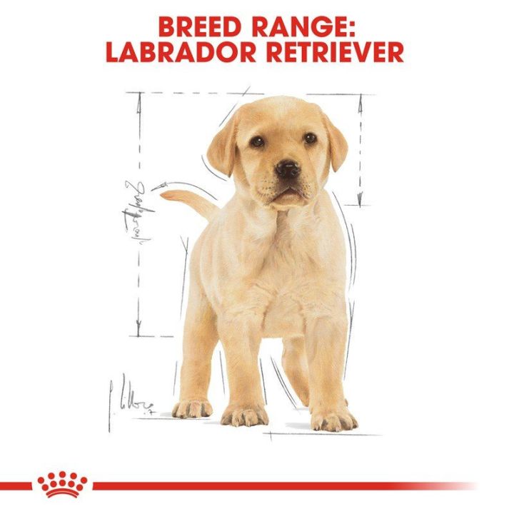 ส่งฟรี-royal-canin-labrador-retriever-puppy-3kg-อาหารเม็ดลูกสุนัข-พันธุ์ลาบราดอร์-รีทรีฟเวอร์-อายุต่ำกว่า-15-เดือน