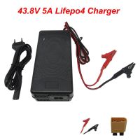 43.8V 36V 5A Lifepo4 Iron Phosphate Bicycle Battery Charger For 36V 12S Scooter Car Solar Energy Storage Ebike Charger With Fan