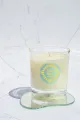 White Tea and Ginger Scent 6oz Soy Wax Scented Candle. 