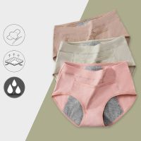 【cw】 Womens Leak Menstrual Panties   Breathable - Aliexpress