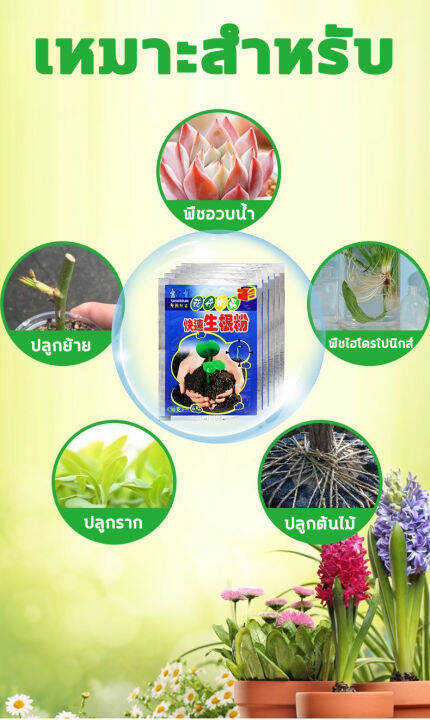 ได้ผล100-เร่งรากใน3วัน-ผงเร่งราก-100g-ผงเร่งรากพืช-ซื้อ1ได้10-พืชมีรากเยอะๆ-น้ำยาเร่งราก-ใช้ได้พืชทุกชนิด-ยาเร่งราก-เพื่อปรับปรุงความอยู่รอด-เร่งราก-อุดมไปด้วยไนโตรเจน-ฟอสฟอรัส-1วันจะงอกหลายราก-และโพแ