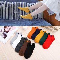 New Candy Colors Causal Solid Cotton Ankle Sock