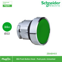 Schneider - ZB4BH03 , ZB4-BH ปุ่มกด หัวเรียบ - กดค้าง , XB4 Head &amp; Body Ø 22 มม. สีเขียว สั่งซื้อได้ที่ร้าน PlugOn