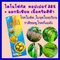 คอปเปอร์ คอปเปอร์น้ำ กำจัดเชื้อรา เชื้อราในทุเรียน ไดโนโฟกัส 1 ลิตร กำจัดโรคใบติด ใบติด โรคใบไหม้ ใบจุดสาหร่าย ราสีชมพู กิ่งแห้ง