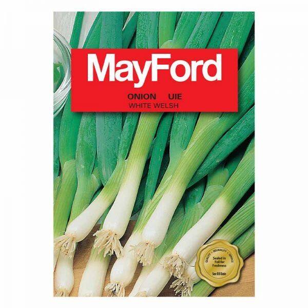 Far East Flora - Mayford Seeds Spring Onion - White Welsh | Lazada ...